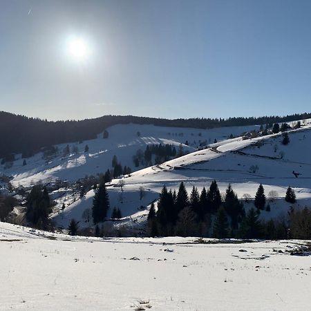 Haus Wiesenquelle, Deluxe-Apartment 'Feld & Berg' Feldberg  Kültér fotó