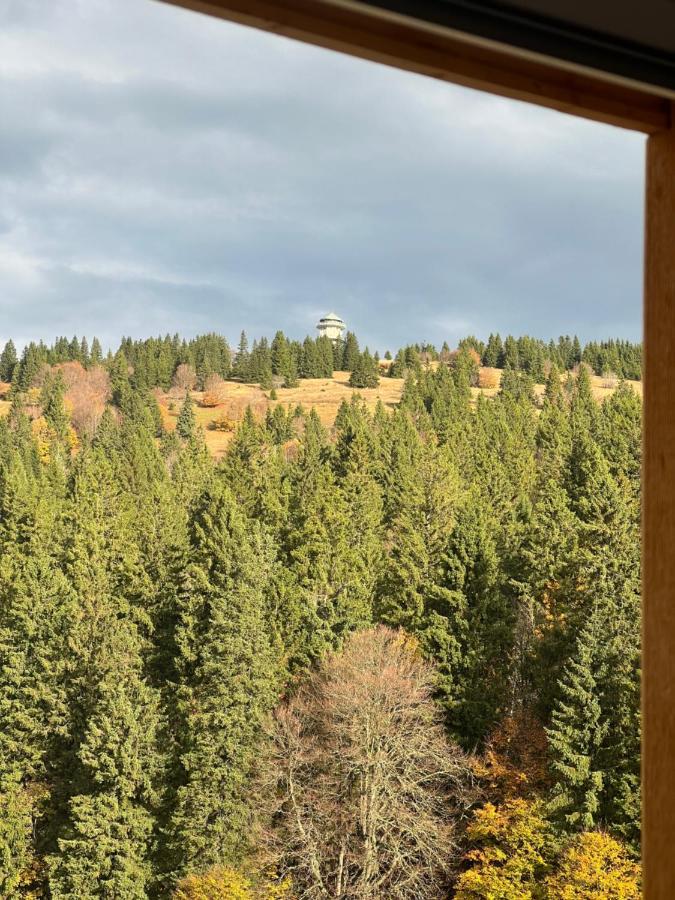Haus Wiesenquelle, Deluxe-Apartment 'Feld & Berg' Feldberg  Kültér fotó