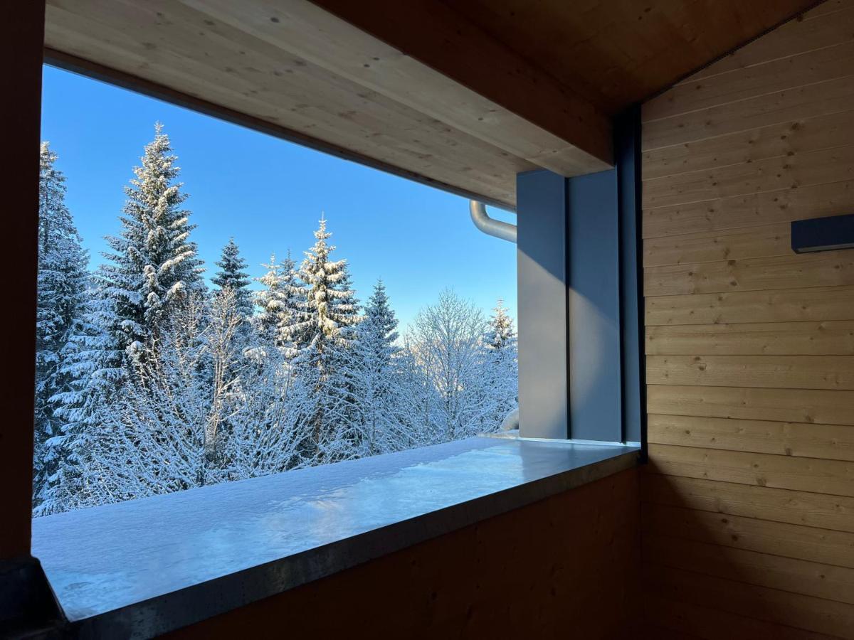 Haus Wiesenquelle, Deluxe-Apartment 'Feld & Berg' Feldberg  Kültér fotó