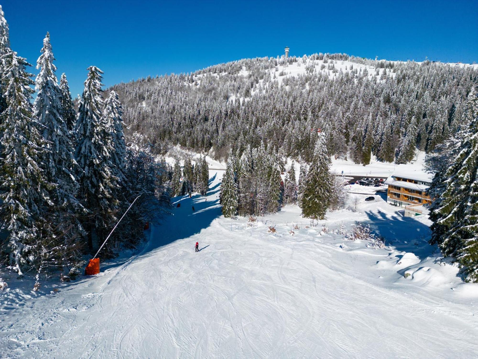 Haus Wiesenquelle, Deluxe-Apartment 'Feld & Berg' Feldberg  Kültér fotó